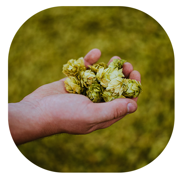 Partake Adding New Sparkling Hop Water 13 22956a6f 5b00 4525 a0e6 f807e6a317c7 1