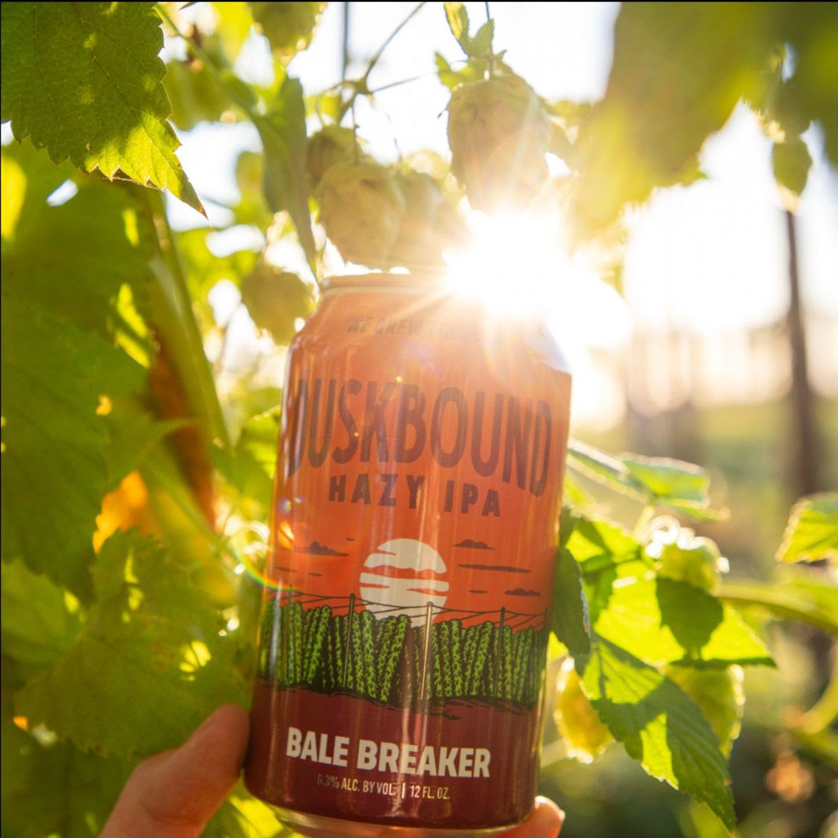 Bale Breaker Introduces Duskbound Hazy IPA Bale Breaker Introduces Duskbound Hazy IPA