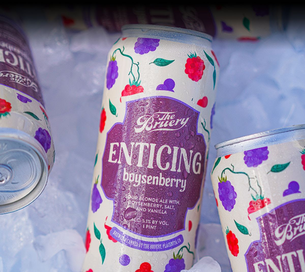 Enticing Boysenberry - Shop Now Enticing Boysenberry - Shop Now