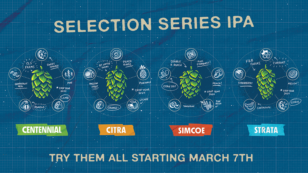 Block 15 Cosmic Coldbrew Returns 14 Selection Series IPA