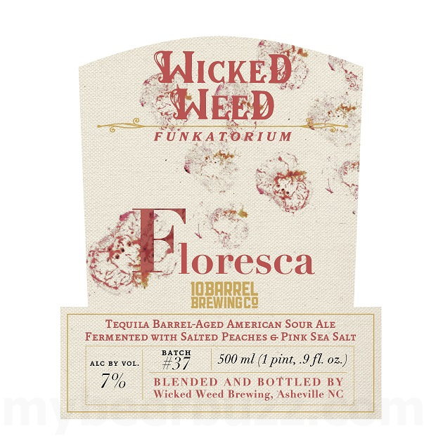 Wicked Weed Blomma & FlorescaComing To Canvas Series 8 AAPost1 181
