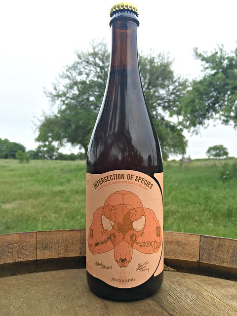 Introducing Off Color / Side Project / Jester King Intersection of Species 14 ios7