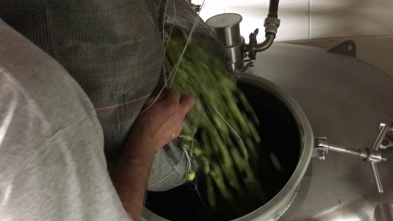 Ground Breaker Gayle Fresh Hop IPA Coming 9/28 8 Gayle Fresh Hop IPA 2016
