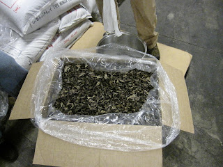 Smuttynose - Satchmo 11 Box o27 Shrooms