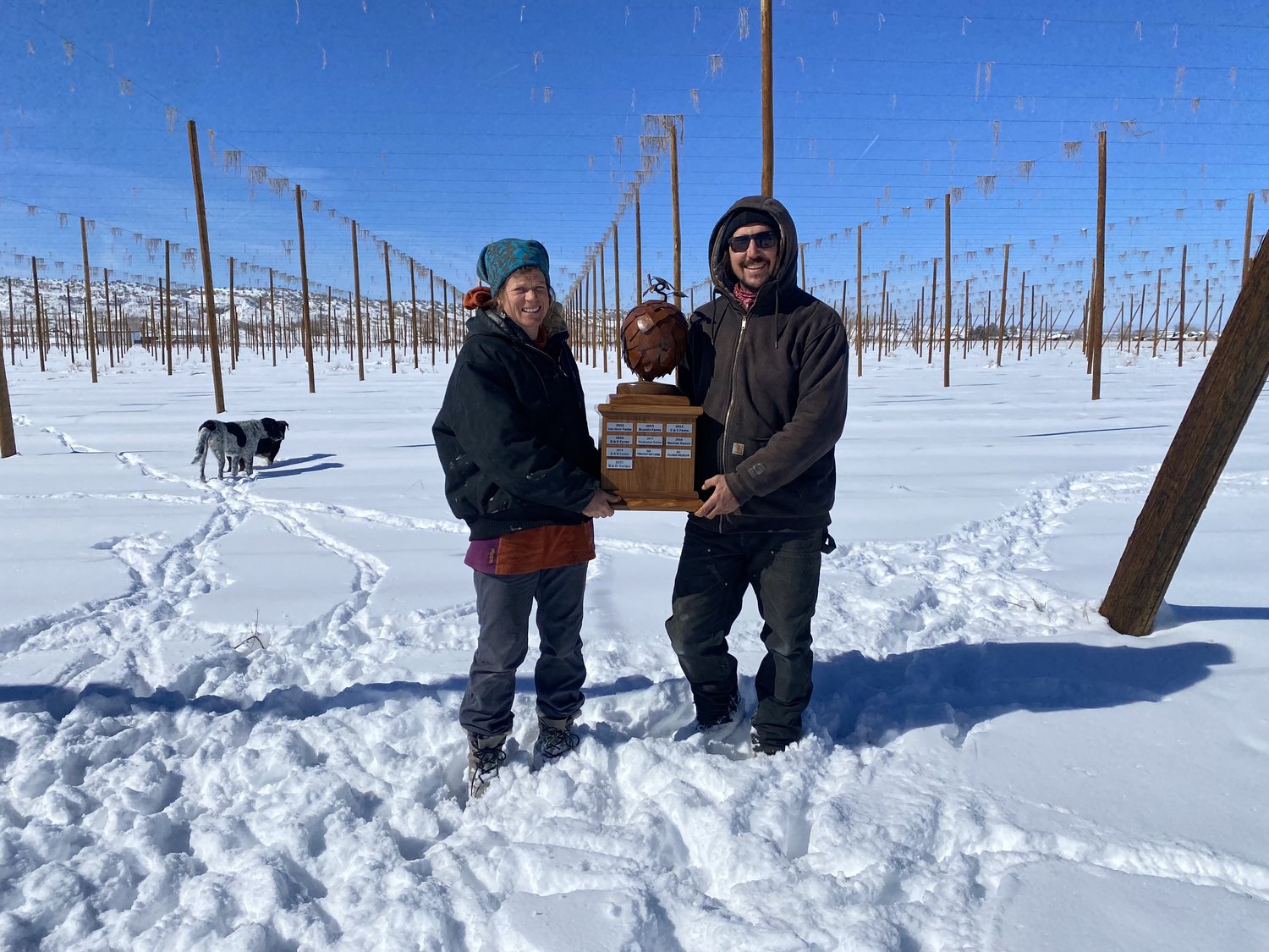 It’s Time For Brewers To Rethink Colorado Hops: Billy Goat Hop Farm 2022 Cascade Harvest Named Best Cascade Hops In The Country 8 Cascade Cup at Billy Goat Hop Farm 2023