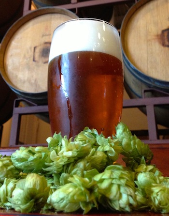 HopsIPA-EXP1 HopsIPA-EXP1