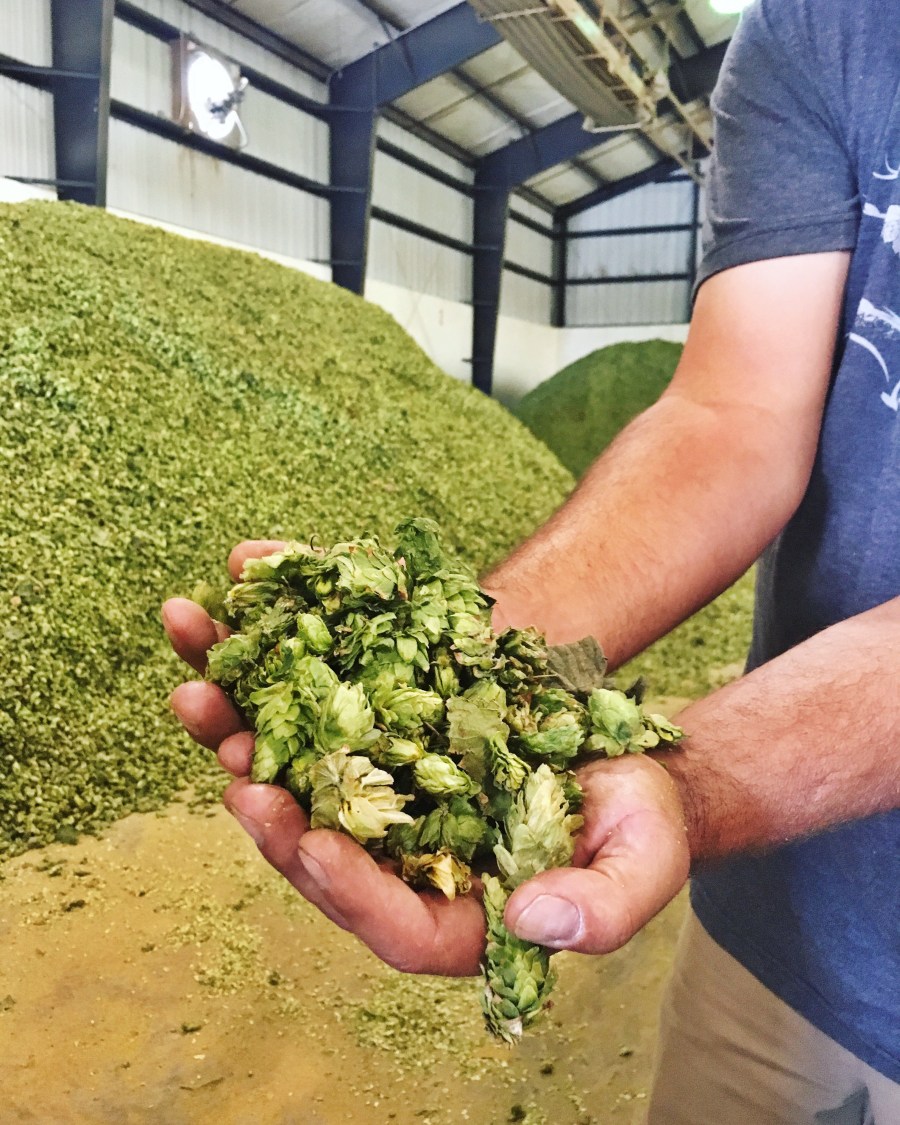 Sixpoint Comments On “Hop Sausage” 12 IMG 1931