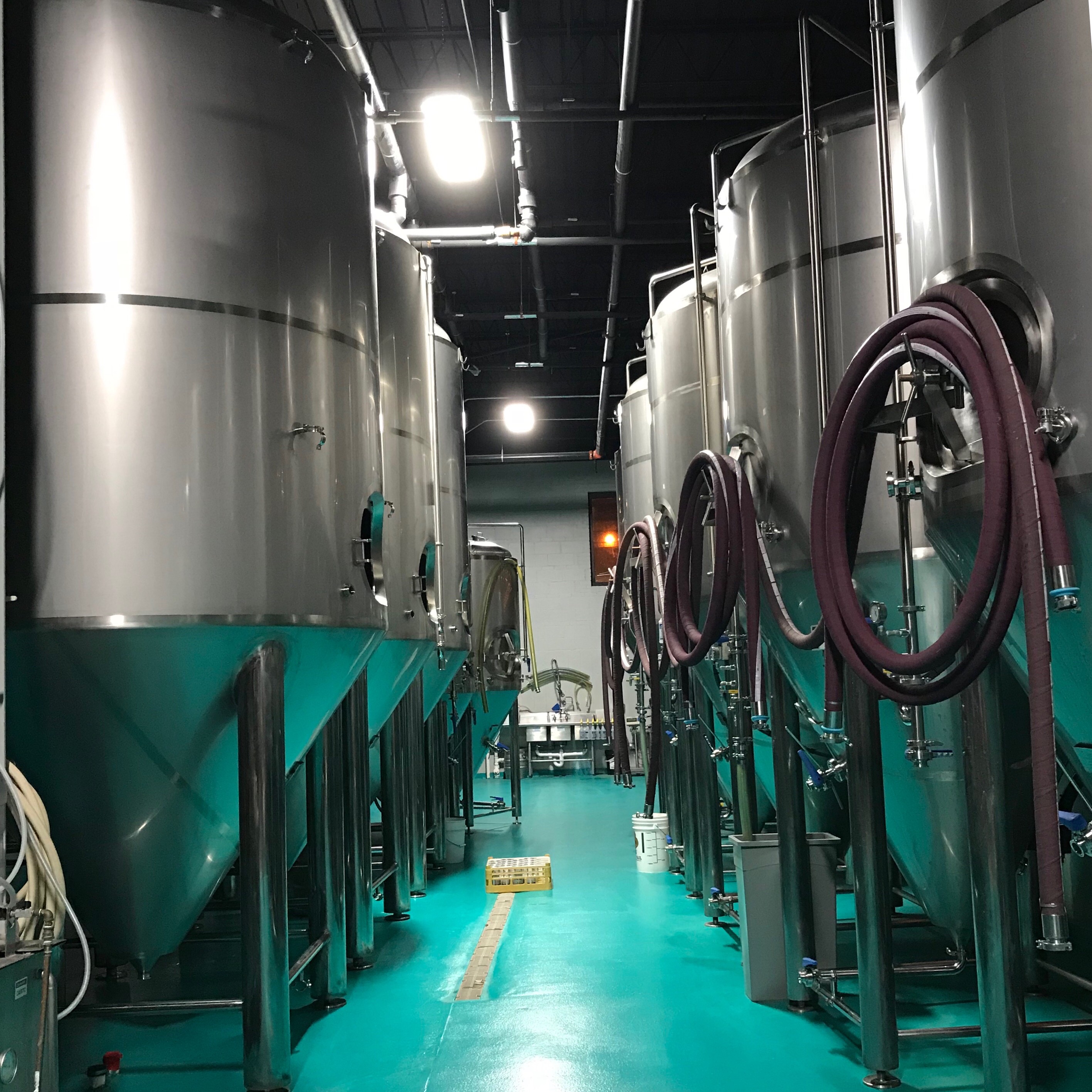 Modist Brewing To Double Brewing Capacity 26 IMG 3534
