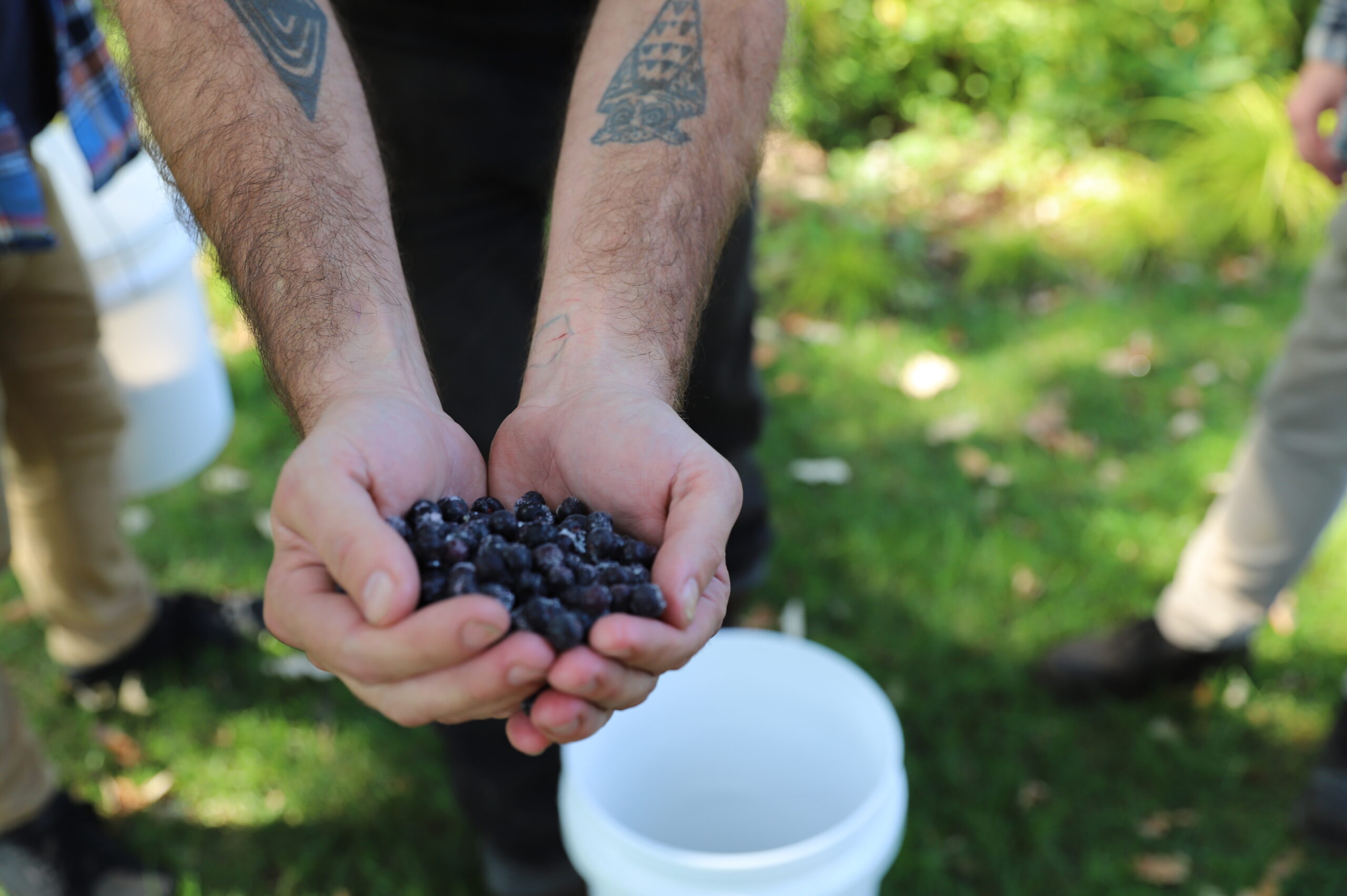Boulevard Introduces Brewhouse One: Aronia Berry Kreik Ale 13 IMG 5144 1 scaled 2