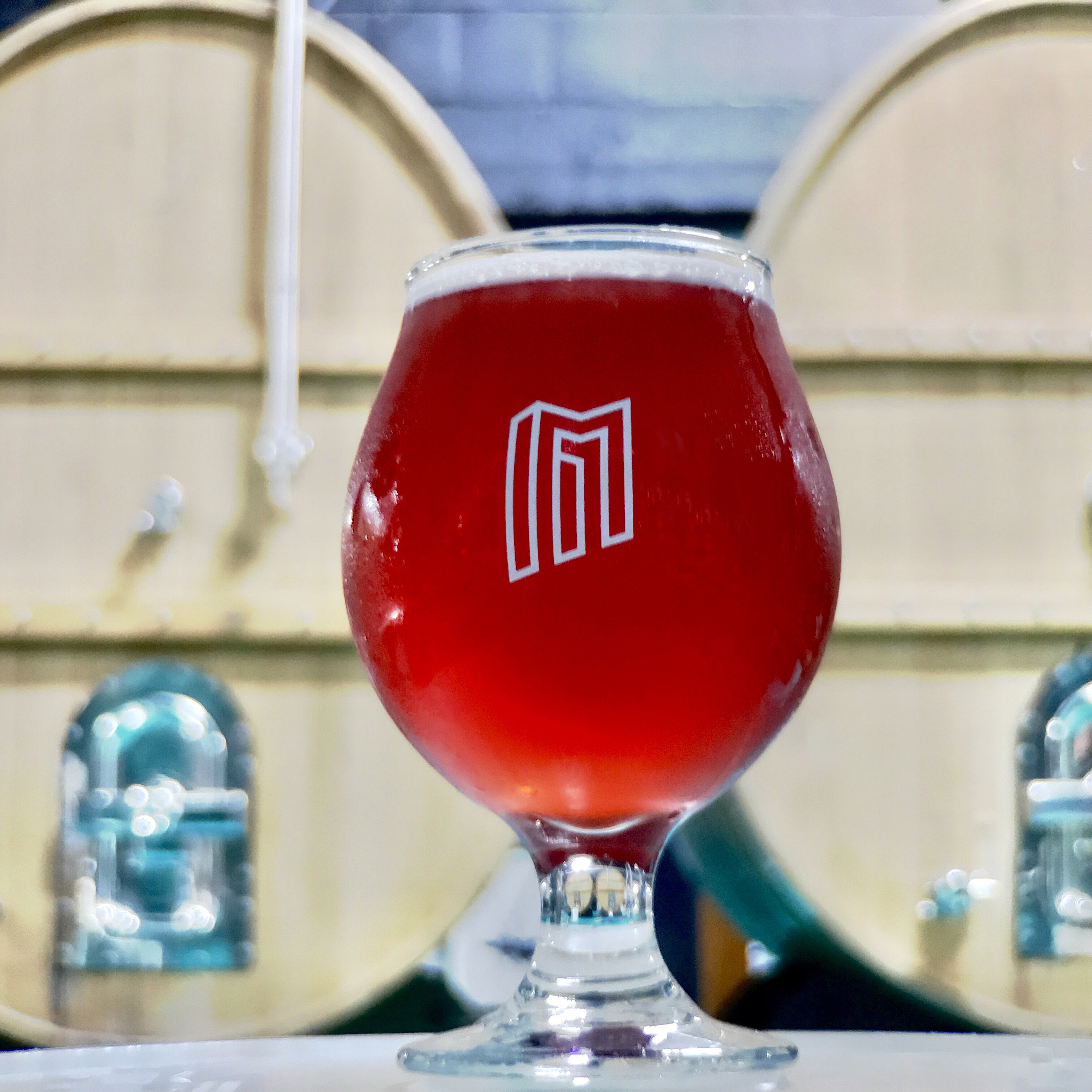 Modist Brewing Launching Wood Fermented Beers 10 IMG 5521