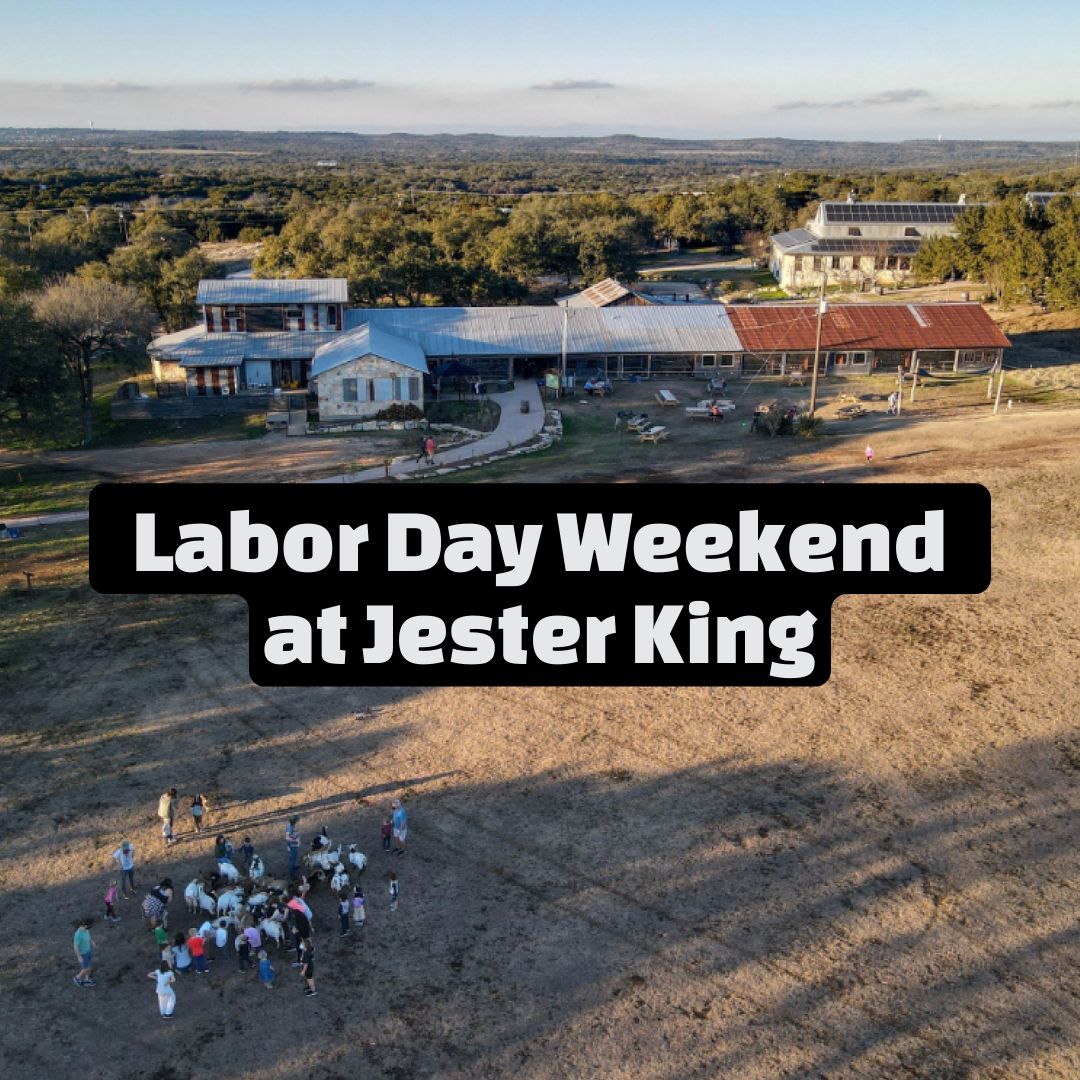 Labor Day Weekend At Jester King 8 IMG_8416.JPG