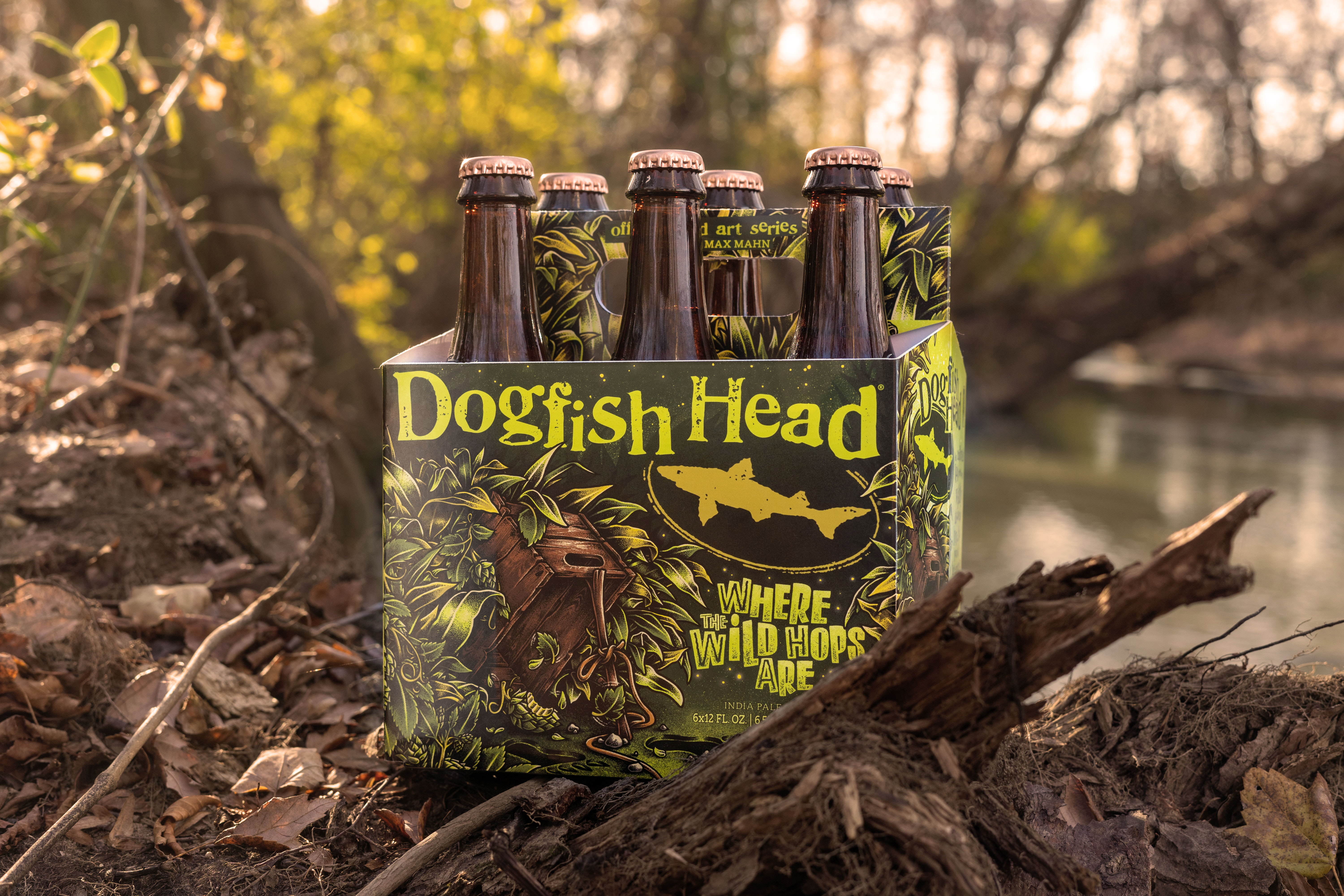 Dogfish Head 2022 Art Series Artist Max Mahn 10