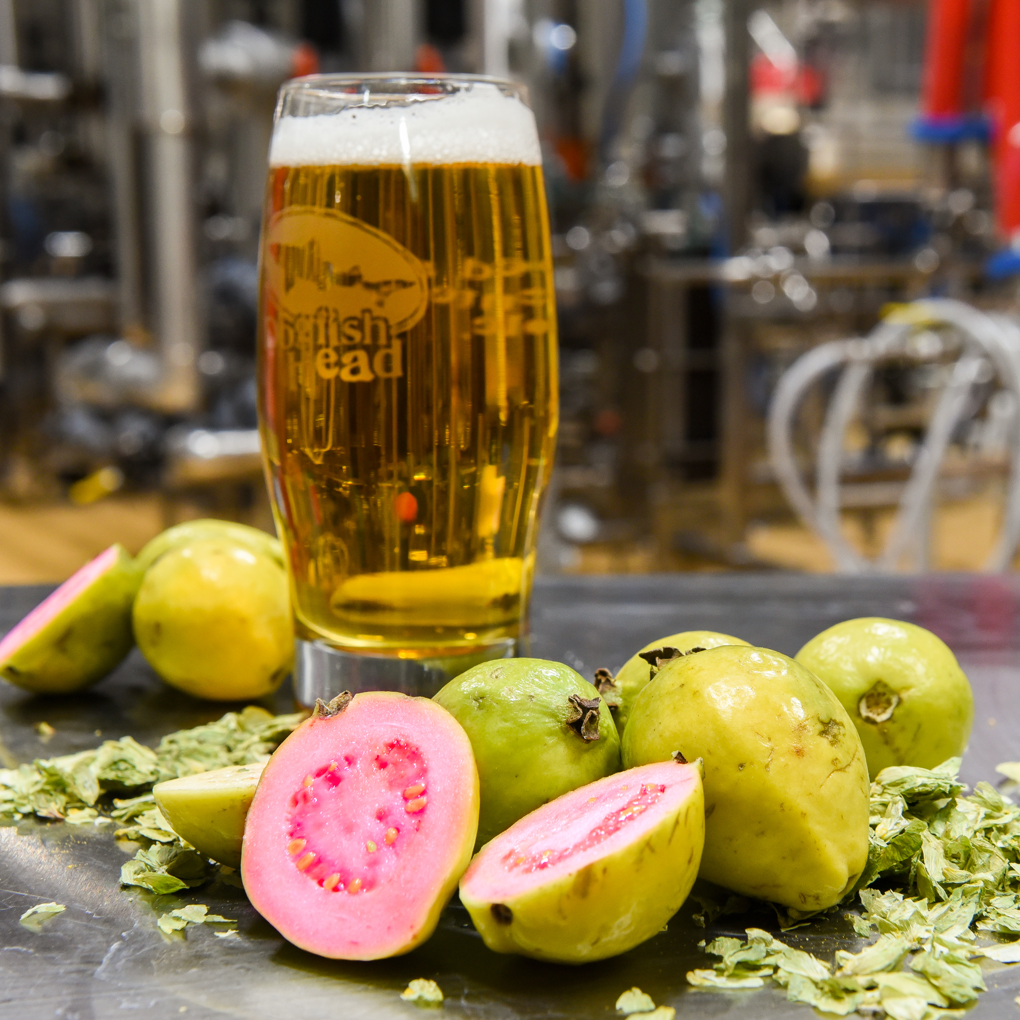 Dogfish Head Announces “Remixed” Firefly Ale 8 Pink Guava