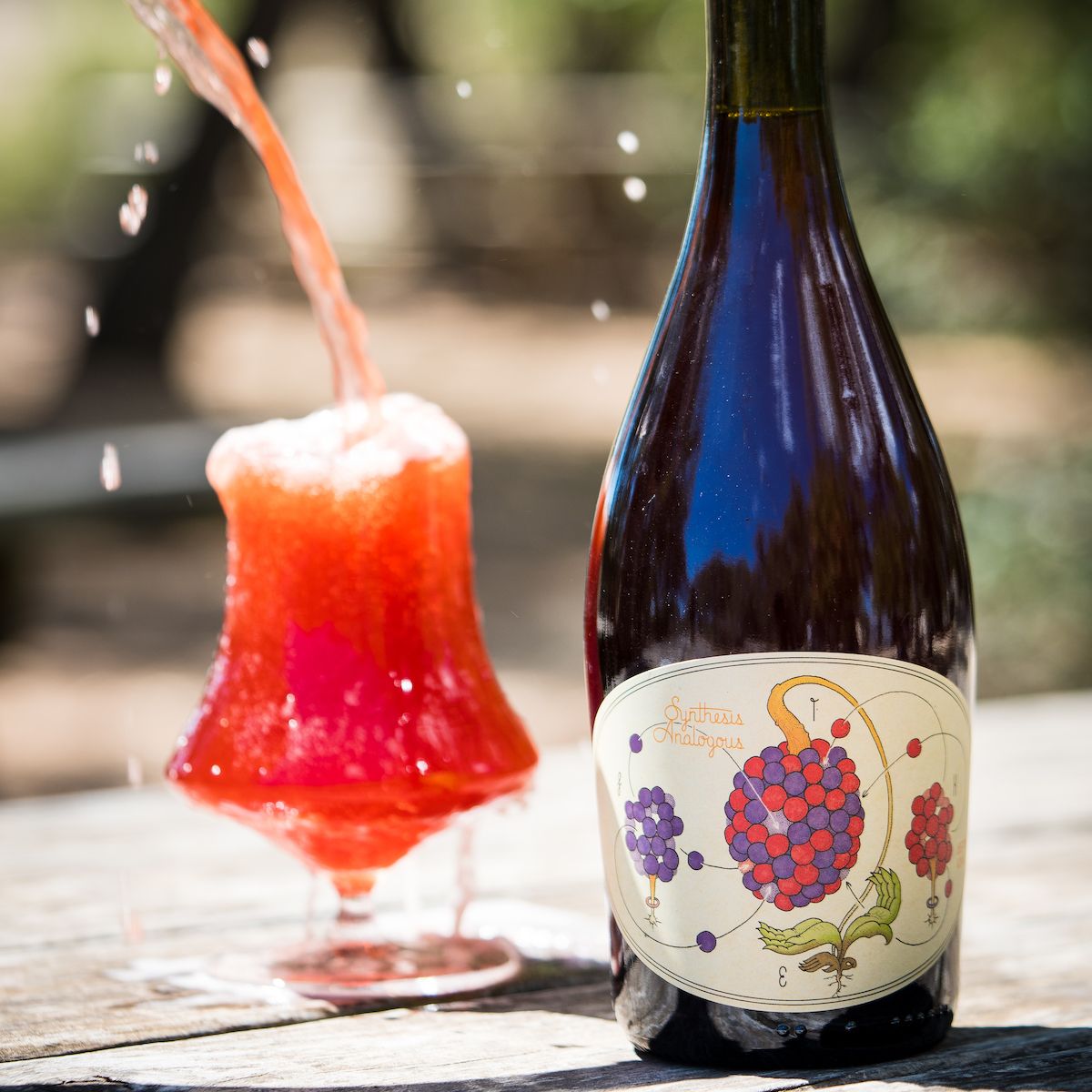 Jester King 100° / Fantôme del Rey / Oktoberfest / Synthesis Analogous / Wytchmaker Rye IPA / Final Entropy / La Vie en Rose 17 Synthesis-1 (3).jpg