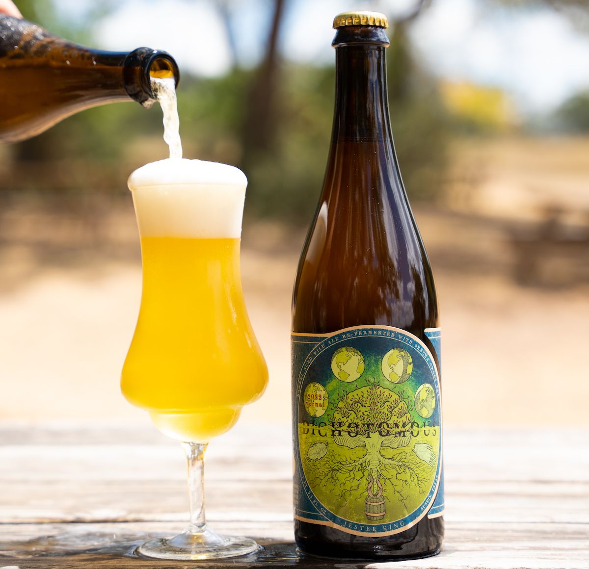 Jester King Releasing English-Style Summer Ale, 2022 Vernal Dichotomous, German-Style Kölsch, Modern Science, Farmhouse Ale & 2021 Biere de Coupage 14 VernalDichotomous-3 (1).jpg