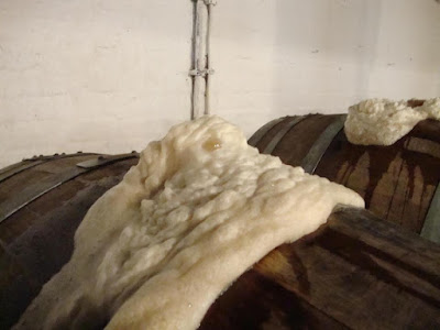 Cantillon Cancels The Production Of Mamouche 2015 8 aapost3 8