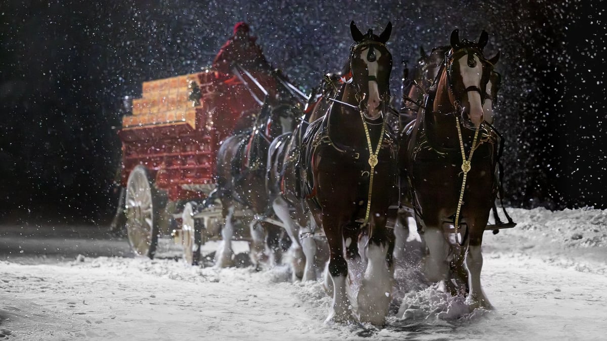 The Iconic Budweiser Clydesdales Deliver On-Screen Magic In Brand’s Super Bowl LVIII Commercial 10 apost 325