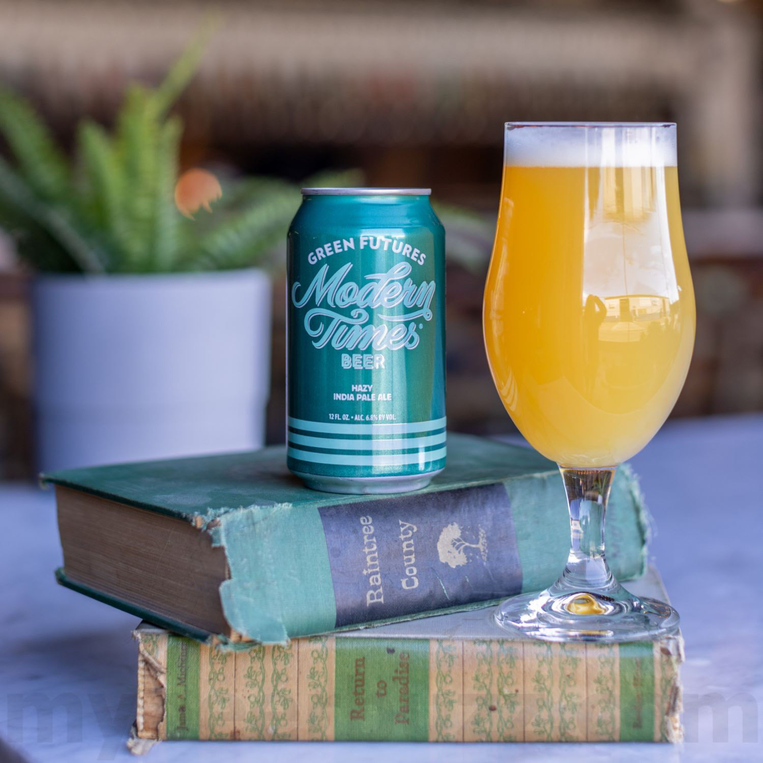 Modern Times Re-releases Green Futures & Dinosaur World Modern Times Re-releases Green Futures & Dinosaur World