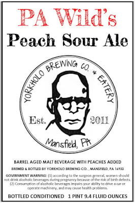 Yorkholo - Barrel-Aged Espresso Milk Stout, Afreet, Barrel-Aged Scotch Ale, PA Grand Canyon Vanilla Porter, My Inner Demons & PA Wild's Peach Sour 11 apost 539