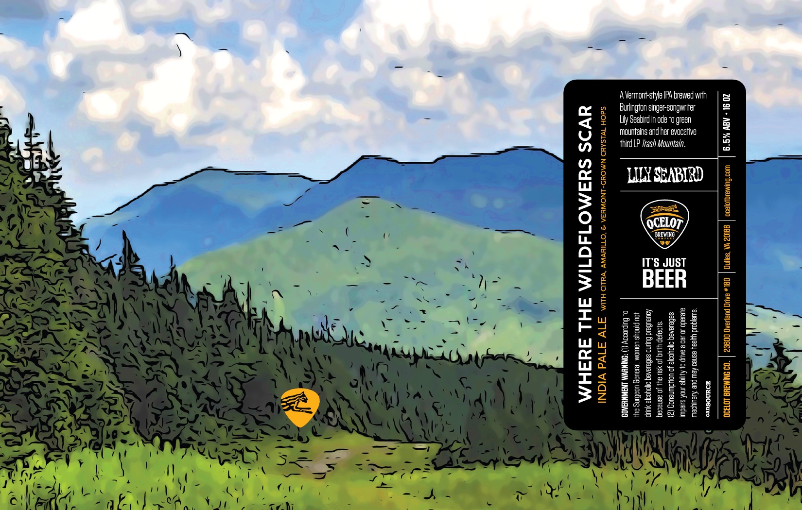 Ocelot & Lilly Seabird Collaborate On Where The Wildflowers Scar Ocelot & Lilly Seabird Collaborate On Where The Wildflowers Scar
