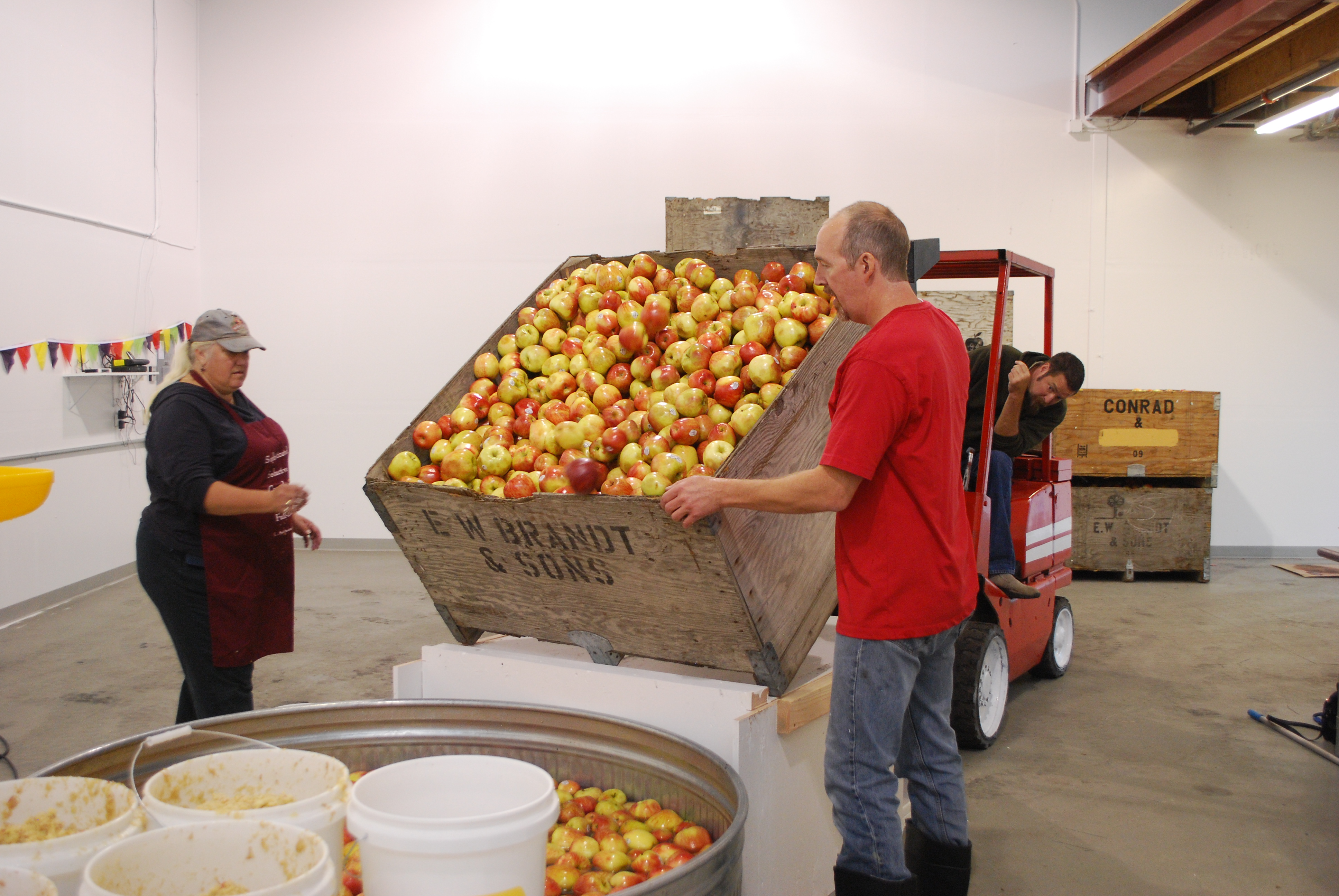 Portland Cider Company Releases New Variety 12-Pack 8 apost4 117