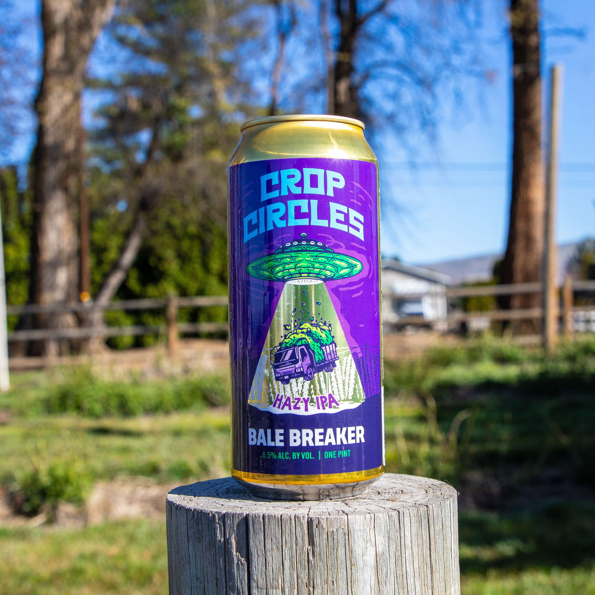 Bale Breaker Releasing Crop Circles Hazy IPA 8 apost4 127