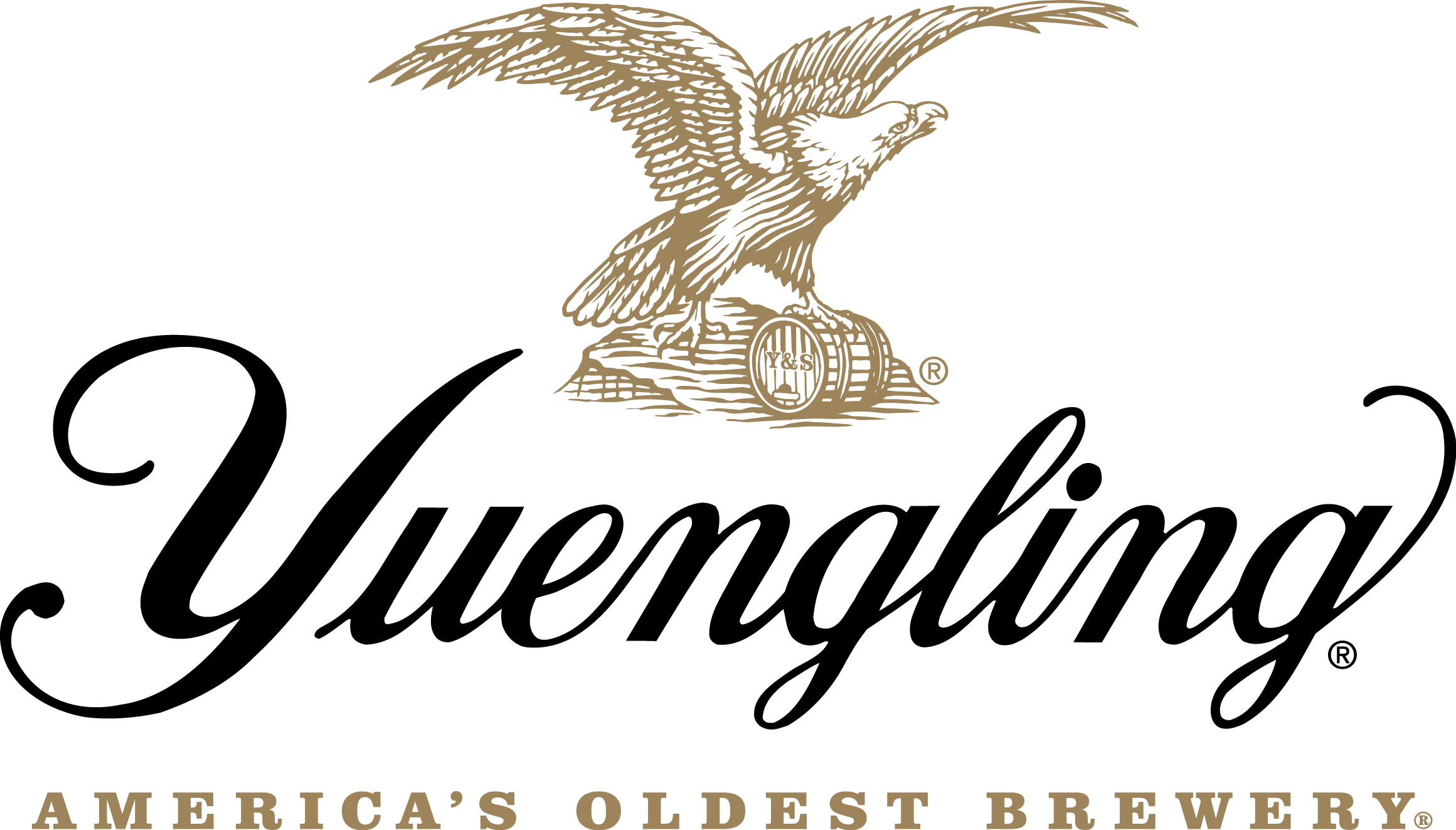 Sean Erney Joins Yuengling Leadership Team 8 apostHLPA 186