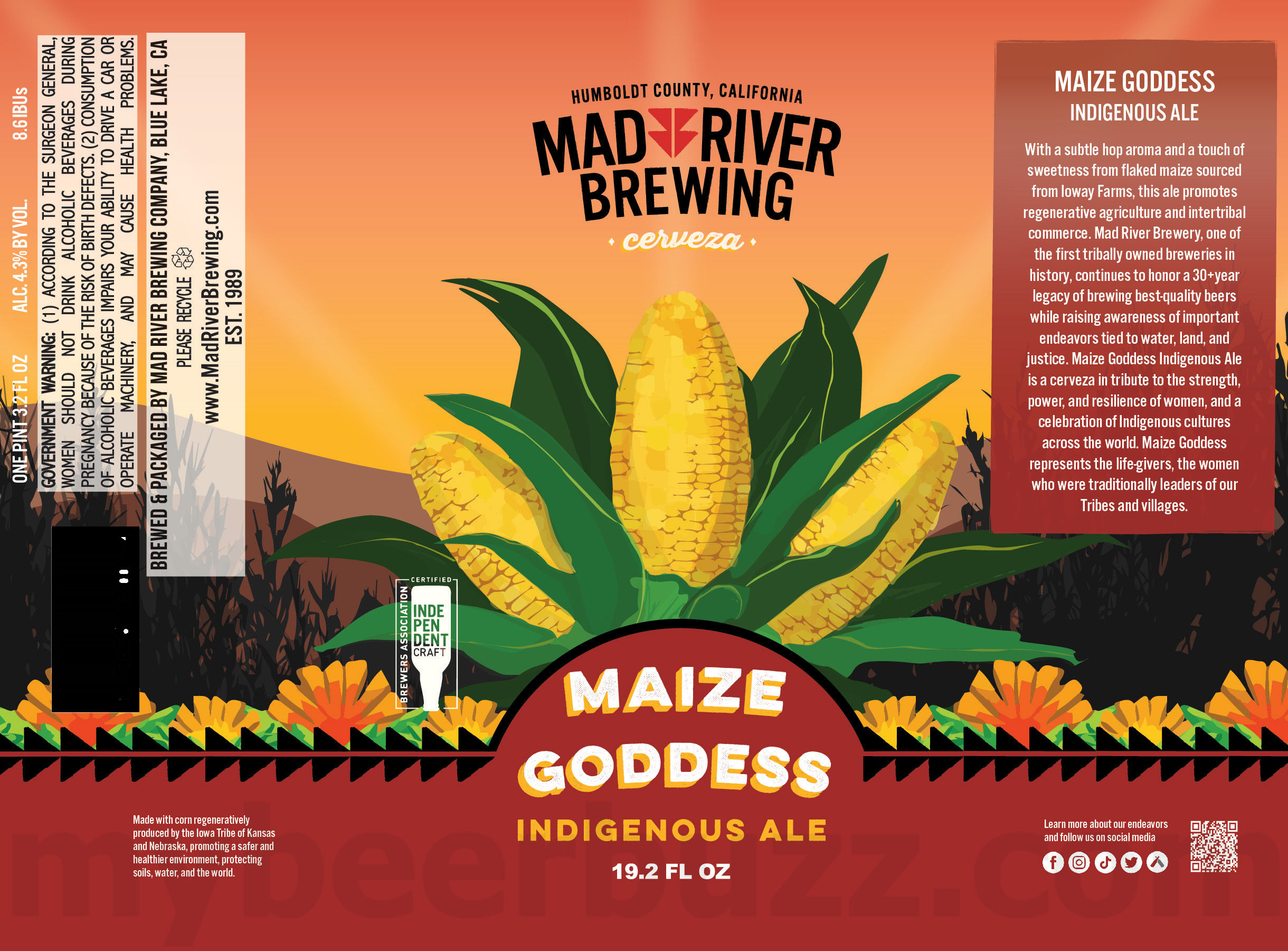 Mad River Updating Jamaica Red & Steelhead Cans / Historic State Park IPA / Canyon Of Dreams / Maize Goddess 28 apostMBB 3910