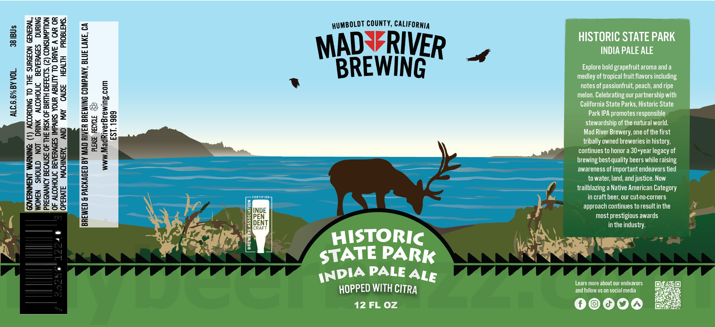 Mad River Updating Jamaica Red & Steelhead Cans / Historic State Park IPA / Canyon Of Dreams / Maize Goddess 31 apostMBB 3913