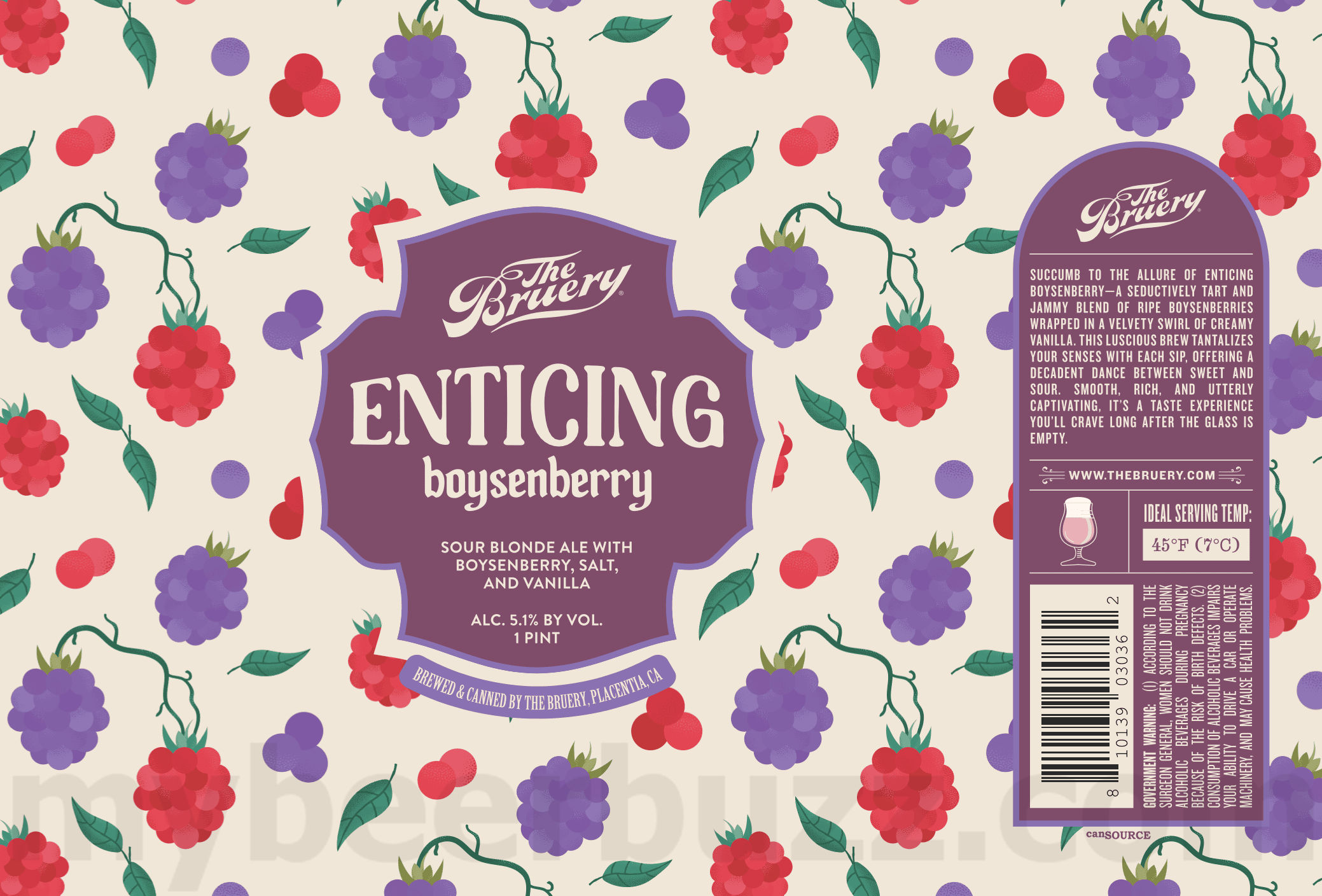 The Bruery Adding Enticing Boysenberry & So Radler Valencia Orange 8 apostMBB 4702