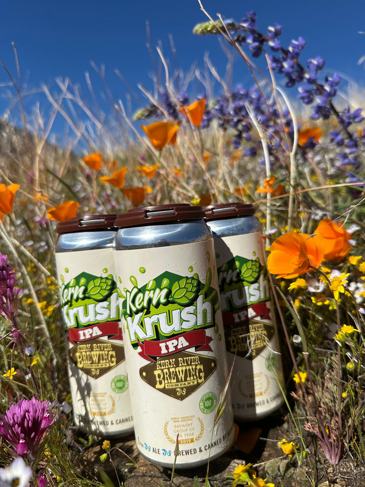 Kern River Releasing Kern Krush IPA 15 cc62b8 a3cefacba7b54383a09ba7376c1fd4a2mv2 1