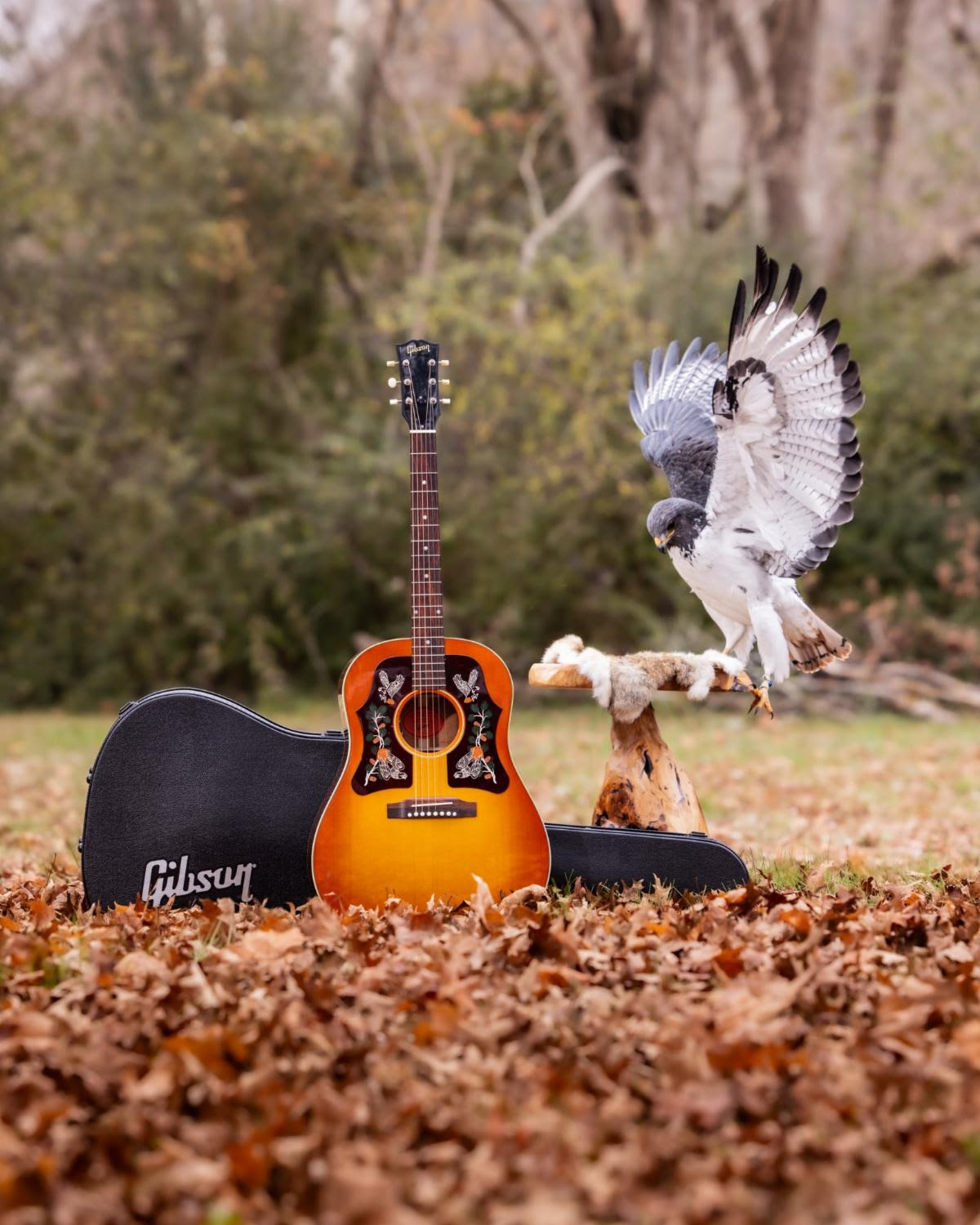 Margo Price and Gibson Partner to Release the Gibson Margo Price J-45 Acoustic Guitar, Available Worldwide on Gibson.com 21 dfb8422f cd62 4467 9744 ccc50e338b77 1