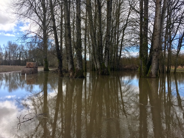 Rogue Farms Under Flood Water - Evacuation Underway 14 Flood March 3