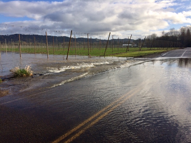 Rogue Farms Under Flood Water - Evacuation Underway 12 FullSizeRender
