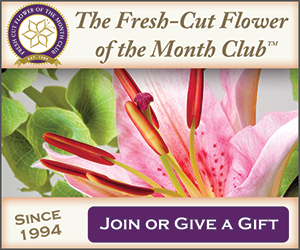 Choosing a Beer Club - The Microbrewed Beer Of The Month Club / Rare Beer Club 54 Flower of the Month Club