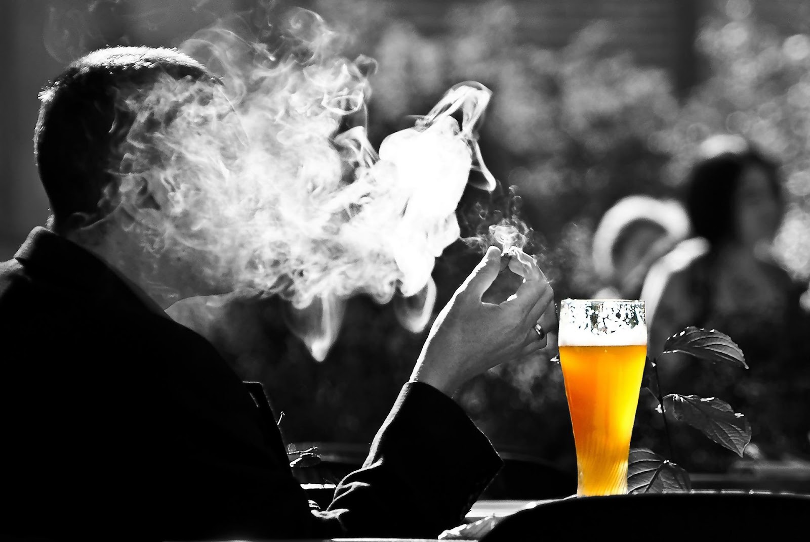 Ways to Pair Cigars and Beer 10 la3Mdz4FUPyG87fcplPYzg9l7WrMloyl TES7ptPj9vZpCy tJnaOflhLvNhk593xWHkfpW4 idAopsJXoEggaxGdXsEHI DVqCEj98t7z0Hd4pRC n ZZA5R7T8WX1NB2ZDBUcwOQJ5GgJ50w