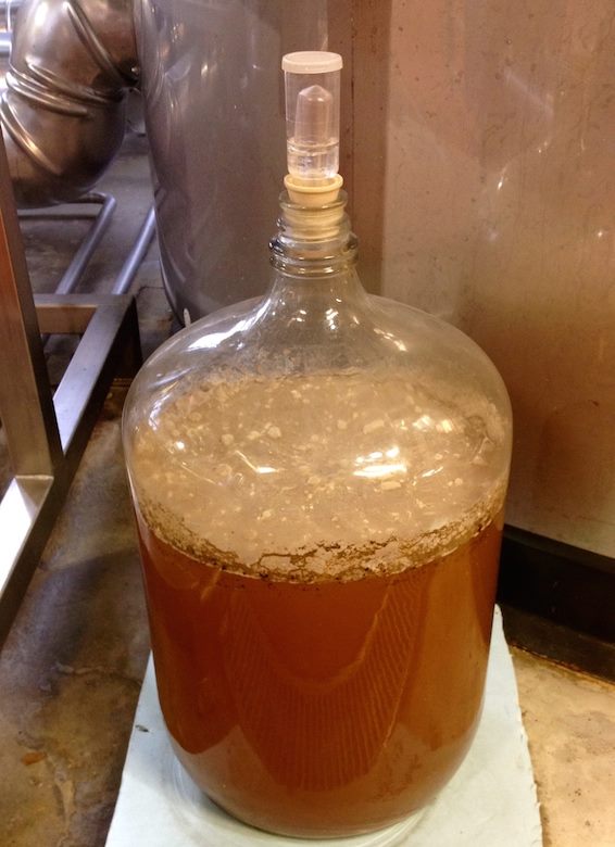 Boulevard - Year-Round Smokestack Series Tell-Tale Tart 8 Our microbiologist maintains a culture of lactobacillus for sour wort production.