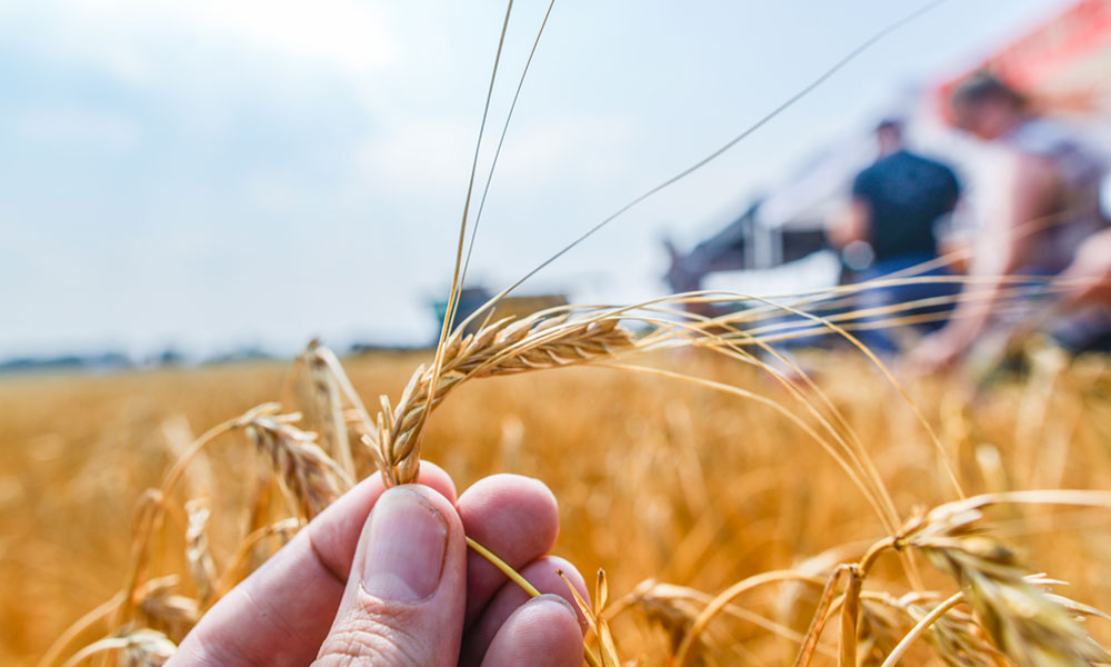 Brewers Association Announces 2019 Research Grants 9 Brewers Association Awards 2019 Research Grants