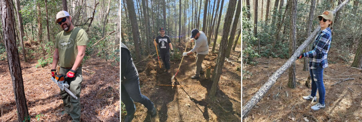 Dogfish Head - Land Preservation: That’s the Name of the Game 14 A collage of Dogfish Head coworkers maintaining a forest with Sussex County Land Trust