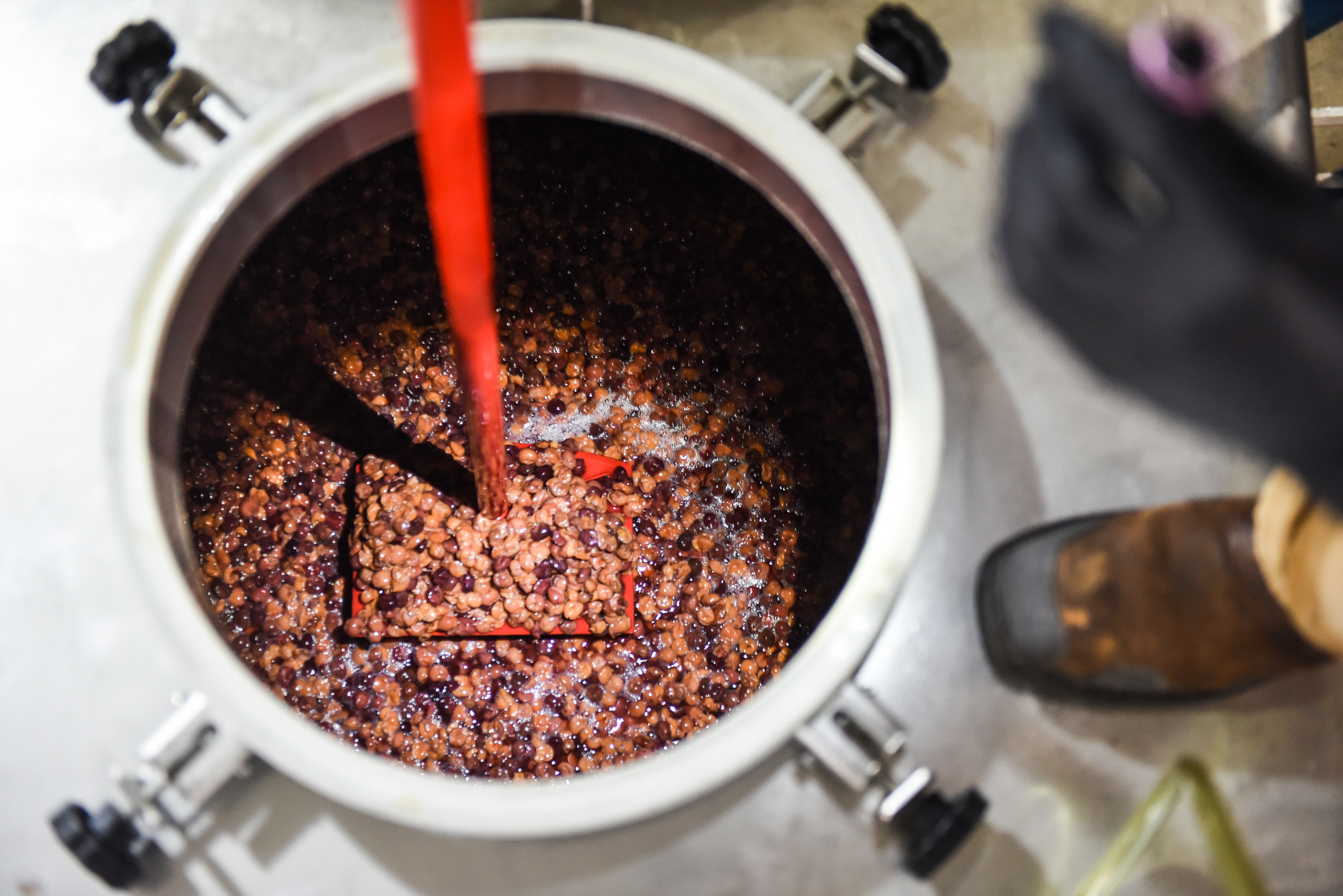Dogfish Head Announces Wooden … it be nice! Wild Beer Program Dogfish Head Announces Wooden … it be nice! Wild Beer Program
