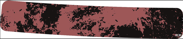 New Belgium & Surly Collaborate On Dark Forest New Belgium & Surly Collaborate On Dark Forest