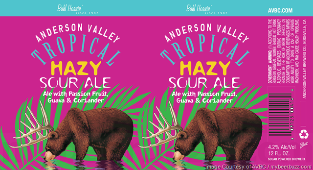 Anderson Valley Adding Tropical Hazy Sour Ale Anderson Valley Adding Tropical Hazy Sour Ale
