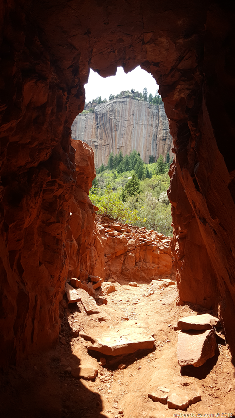 Travel: The Best Way To Visit The North Rim Of The Grand Canyon Travel: The Best Way To Visit The North Rim Of The Grand Canyon