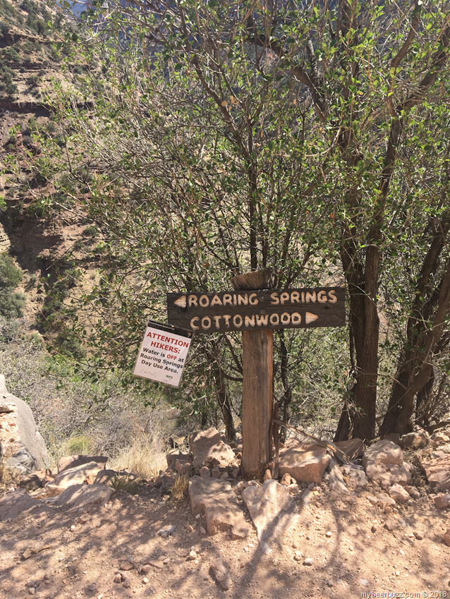 Travel: The Best Way To Visit The North Rim Of The Grand Canyon Travel: The Best Way To Visit The North Rim Of The Grand Canyon