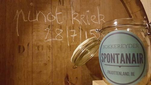 Lindemans Launches SpontanAir To Deliver Wild Yeast AIR From Pajottenland 8 unnamed file 365