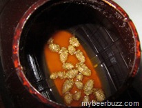 IMG_2911 IMG_2911