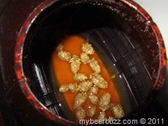IMG_2911 IMG_2911