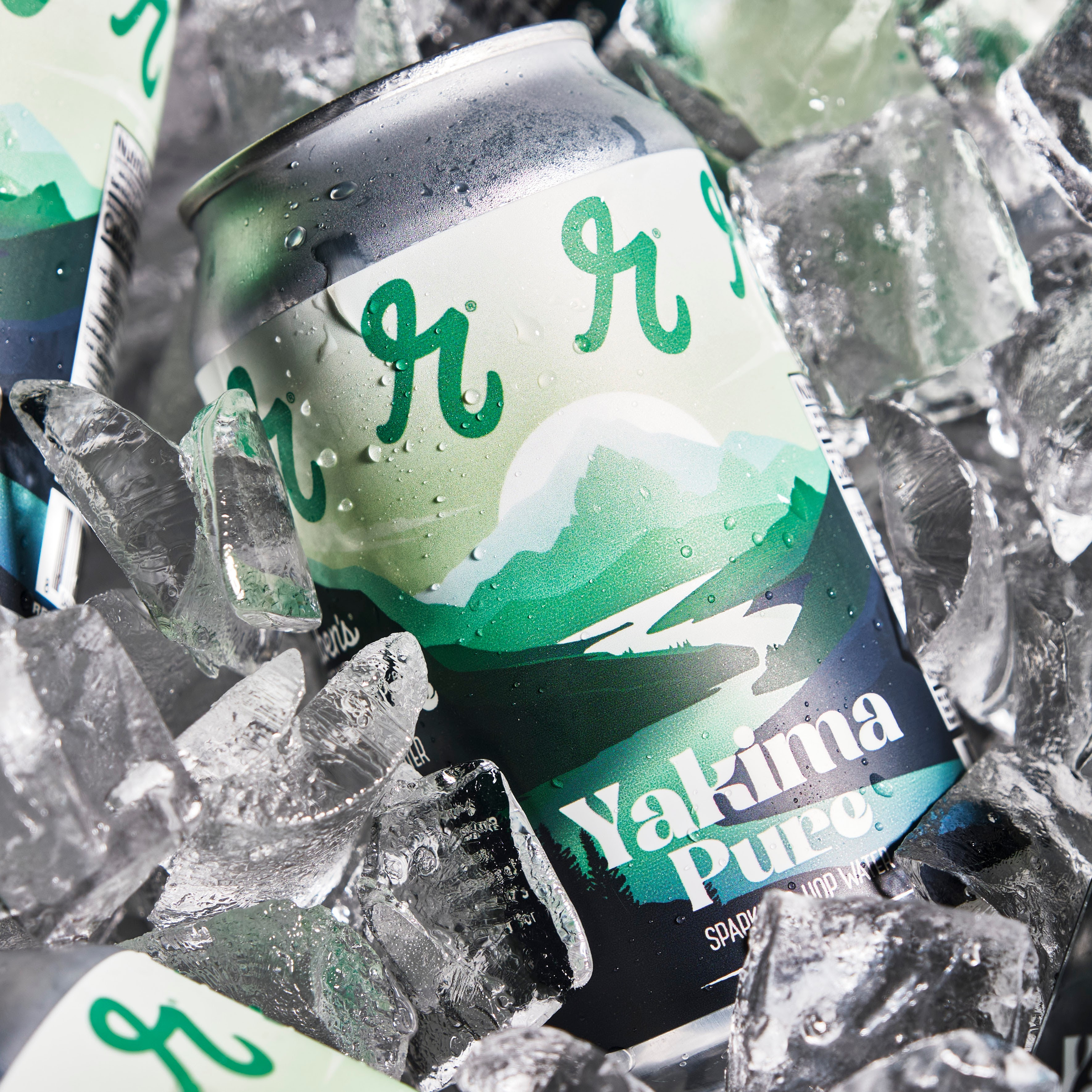Reuben’s Brews Releasing Yakima Pure & Alpha Comeback / Best Coast & Haze Fest Details 16 251b370d 3a6c 16d0 3624 e08afc57776e
