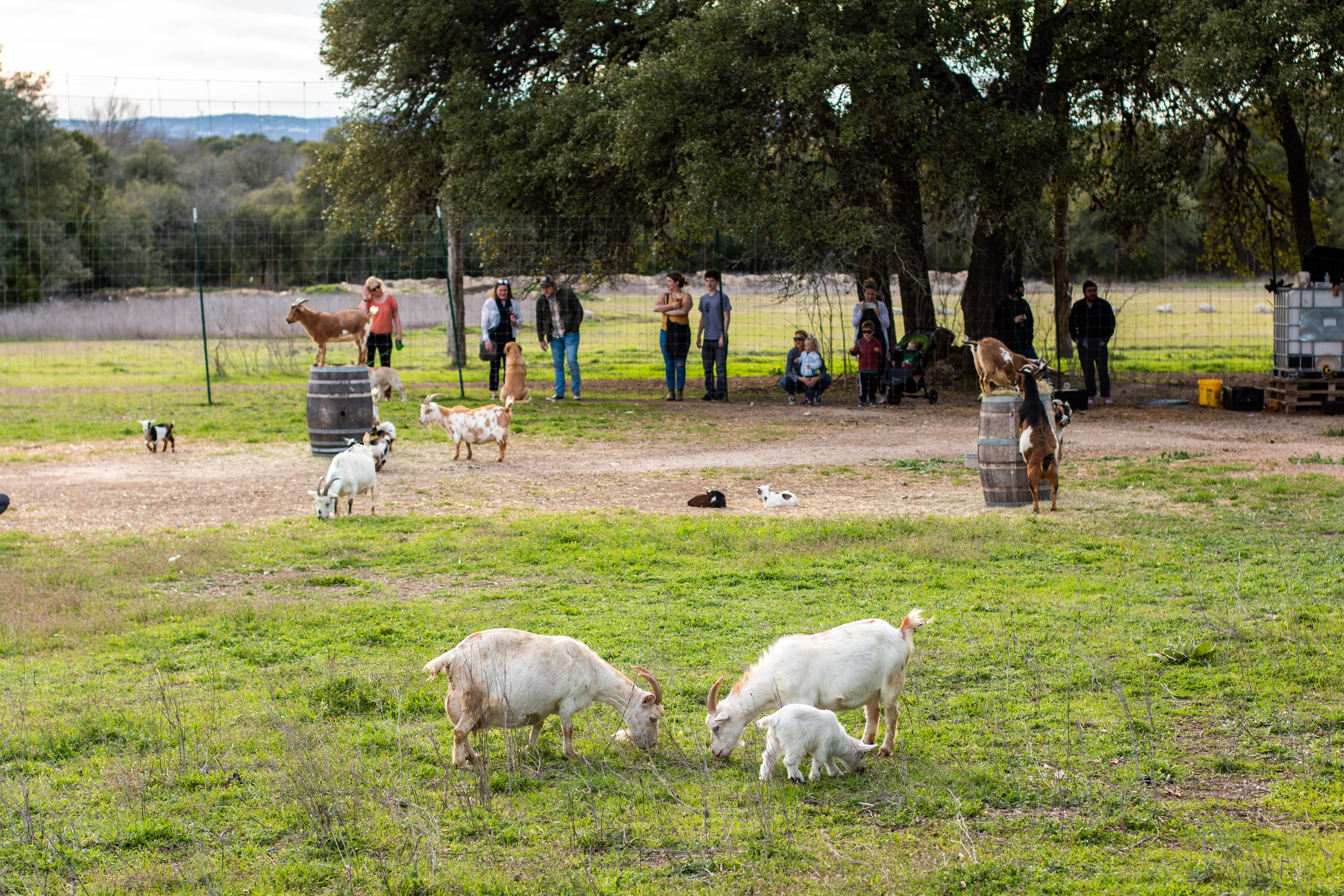 Jester King Announces Green Acres Hop Fest Details 32 7dce13d3 7f04 b9ef 07ab f00e51c3a299