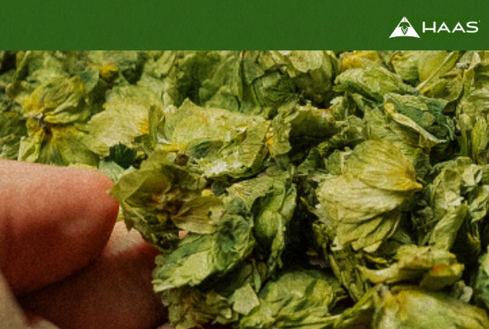 John I. Haas Introduces 2025 Michael Jackson Foundation Hop Blend John I. Haas Introduces 2025 Michael Jackson Foundation Hop Blend